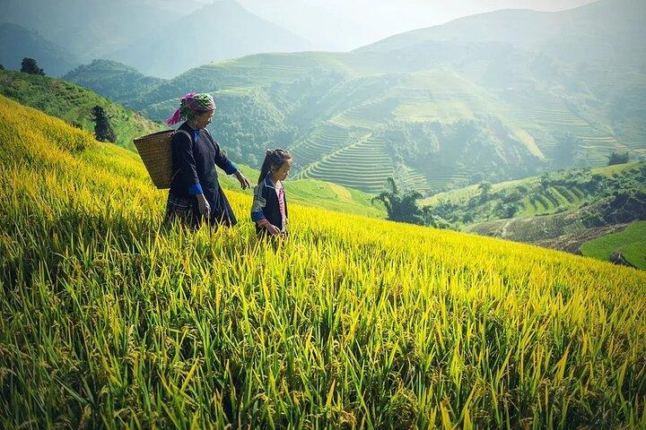 Sapa Trek Group Tour 3days by Bus from Hanoi with 1 night hotel&1 night homestay
