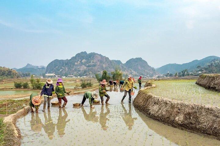Sapa Trek Group Tour 3days by Bus from Hanoi with 1 night hotel&1 night homestay