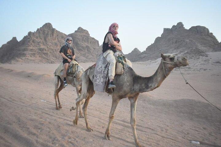 De Sharm Classic Stargazing Trip Jantar de churrasco, show, transferência de camelo