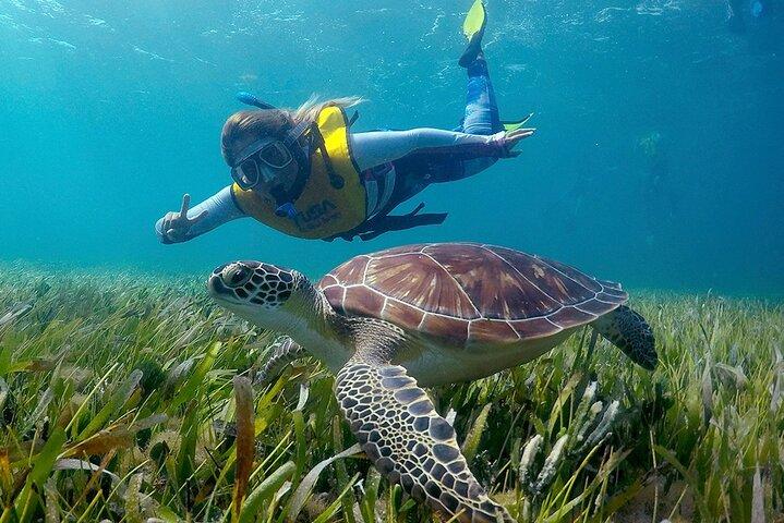Aventura privada de mergulho com snorkel em Cancun