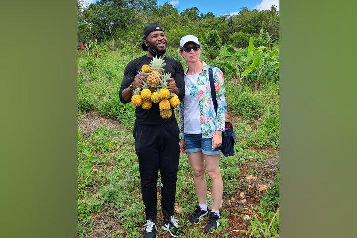 Visite uma fazenda jamaicana