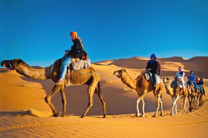 Safari privato mattutino nel deserto a Dubai
