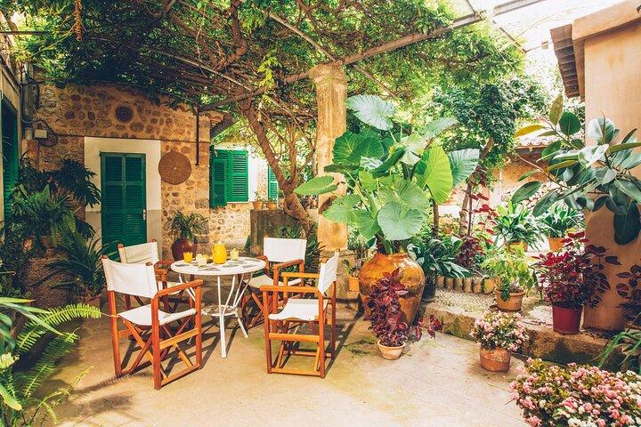 Degustazione guidata in casa del 16° secolo e fabbrica di olio d'oliva