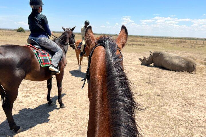 Dagsafari till Olpejeta Rhino conservancy