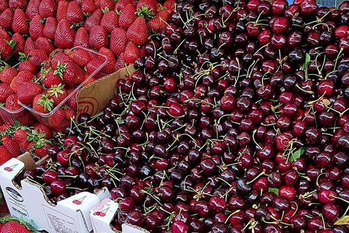 アテネの隠れたスポットで伝統的なギリシャ料理を味わうツアー