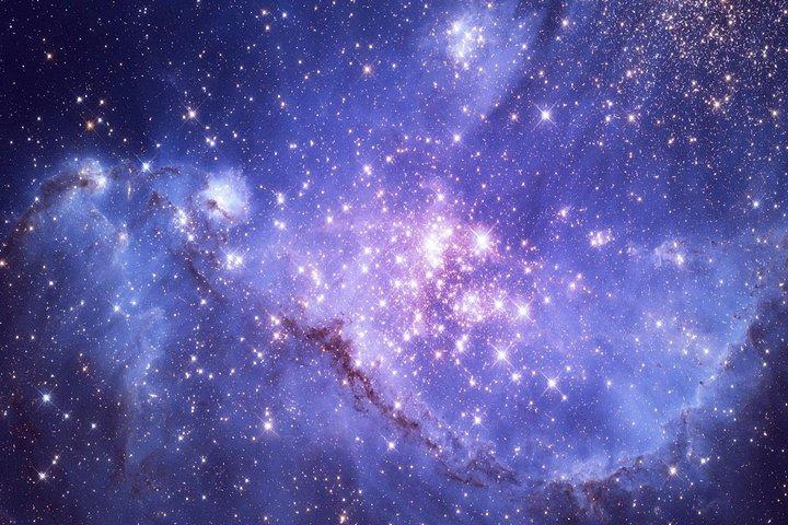 マイアミからのケネディ宇宙センターへの入場