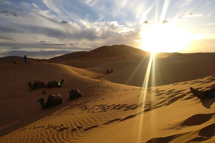 メルズーガ砂漠のラグジュアリーキャンプでラクダトレッキング、ビークル4WD