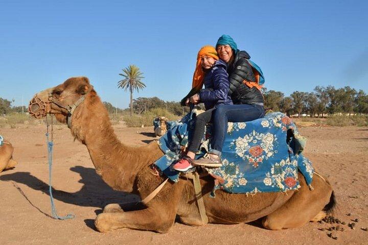 Tour por la ciudad de Agadir y Medina, teleférico, Crocoparc con recogida en el hotel