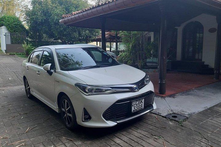 Sri Lanka Sightseeing - Private Transport: Customizable