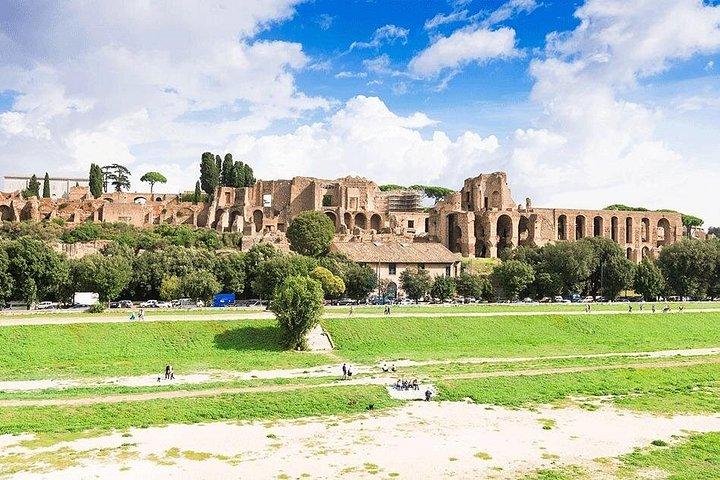 Rome 3 Days: Private Guided Tours & Chauffeured Transfers