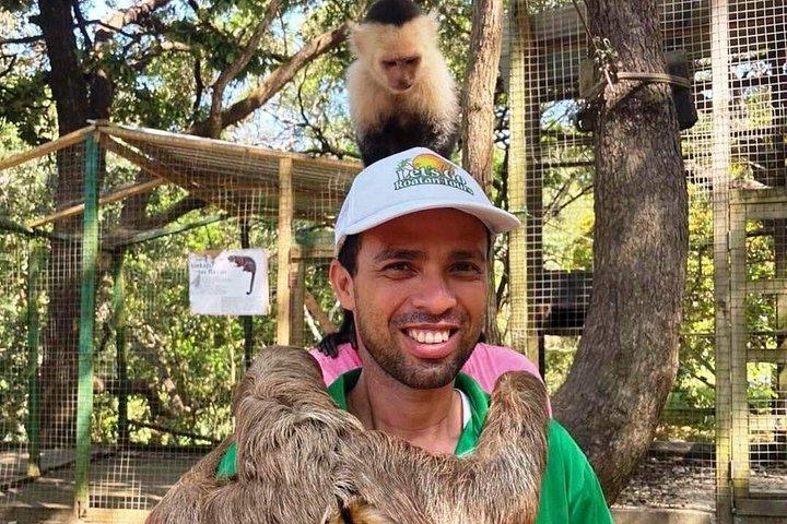 Monkeys, Sloths, Rum Factory & West Bay Beach Experience