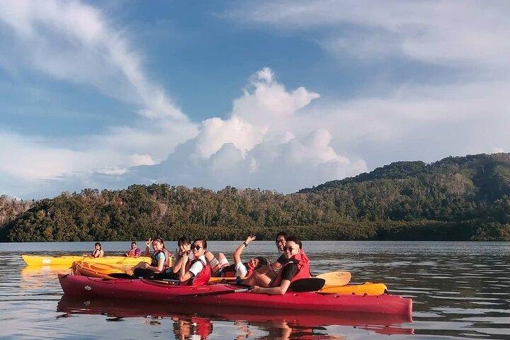 Mangrove kajakoplevelse på Borneo