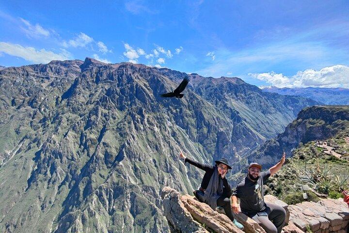 Excursion d'une journée complète à Colca depuis Arequipa