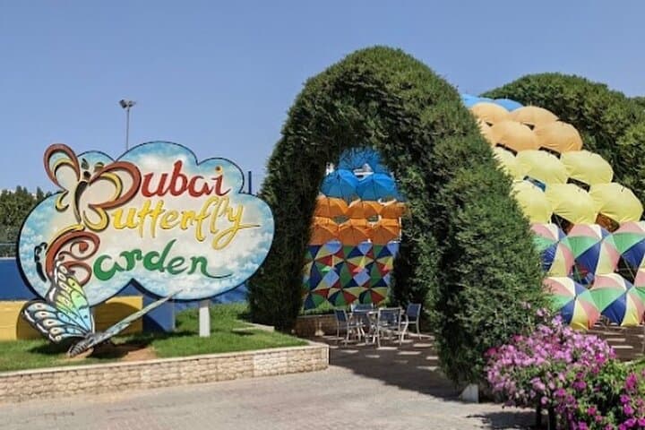 Dubai Butterfly Garden Entry Ticket