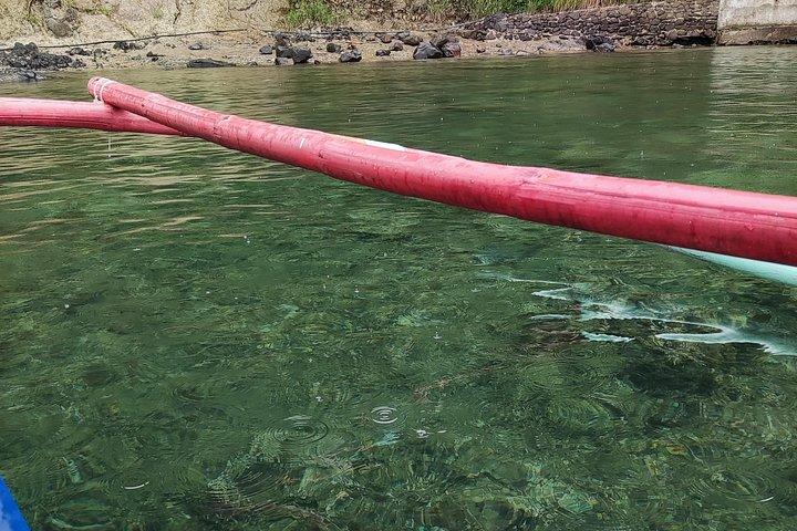 アニラオ シュノーケル サファリ : 素晴らしい水中世界を探検