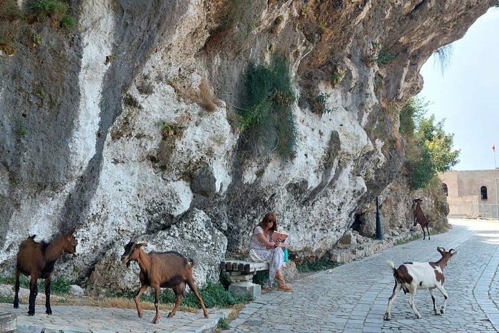 Kruja, Castle & Old Bazaar Guided Tour from Durres