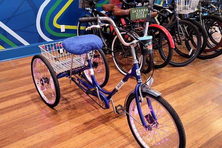 2-Hour Explore Savannah Bike Tour