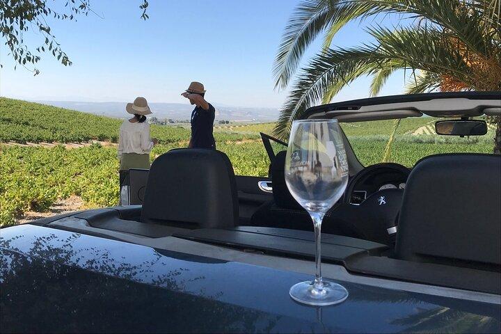 Full day in Cordoba between Vineyards and Olive Trees with a Convertible Car