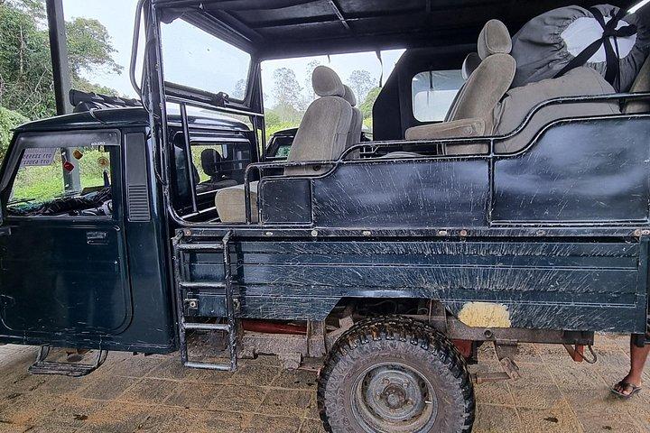 Sri Lanka Sightseeing - Private Transport: Customizable
