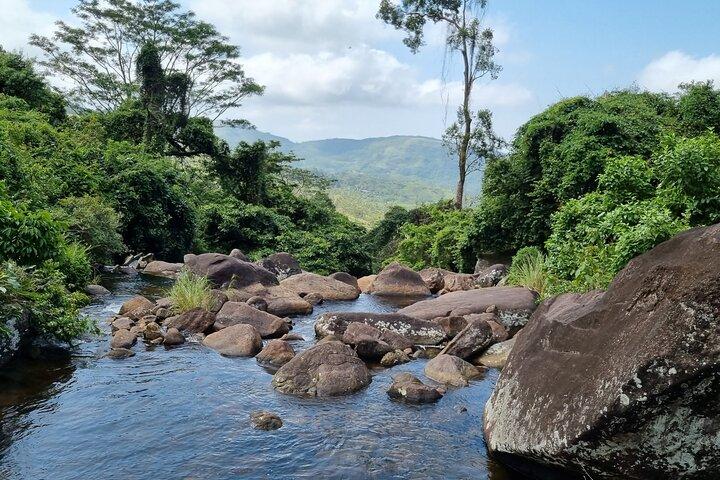 Sri Lanka Sightseeing - Private Transport: Customizable