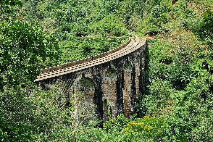 Sri Lanka Sightseeing - Private Transport: Customizable