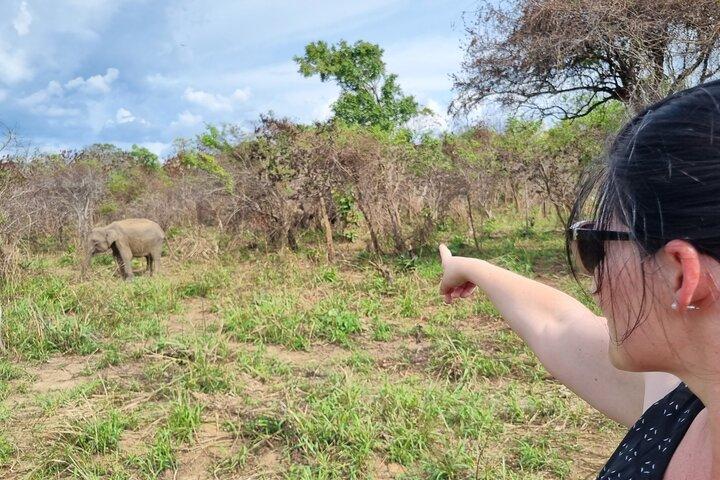 Sri Lanka Sightseeing - Private Transport: Customizable