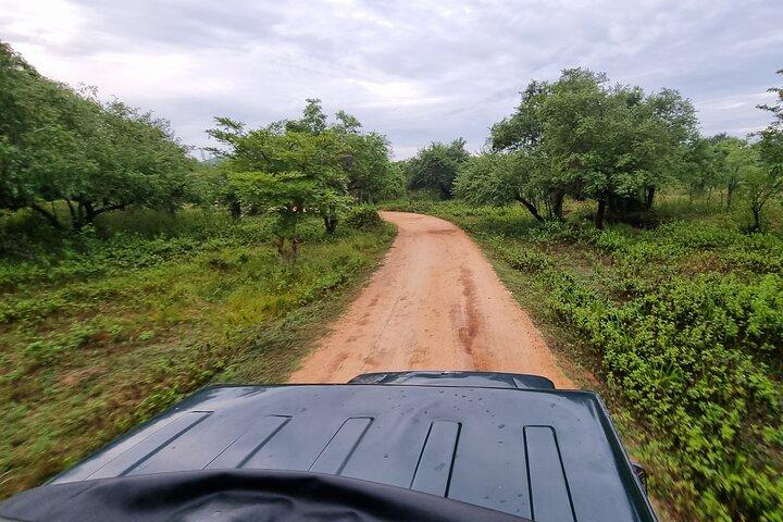 Sri Lanka Sightseeing - Private Transport: Customizable