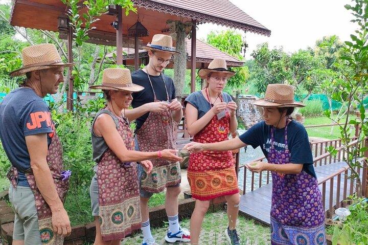 Kochabendkurs Chiang Mai Besuchen Sie den Bio-Garten und -Markt