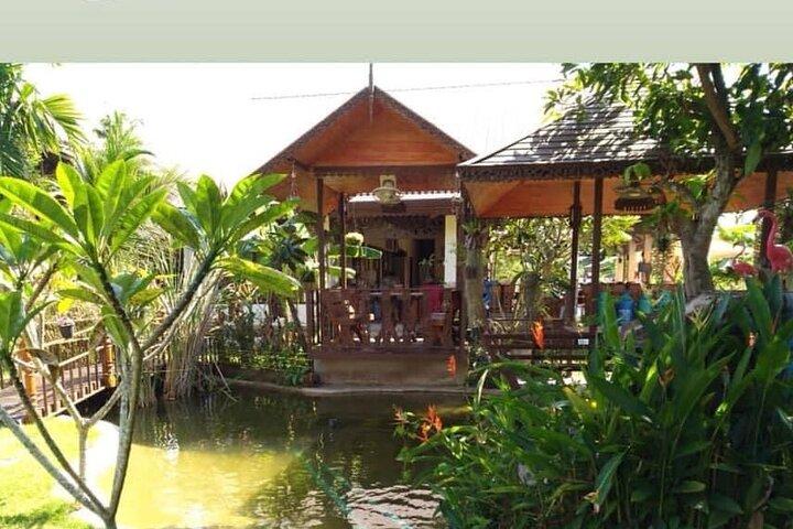Kochkurs am Vormittag Chiang Mai Besuchen Sie den Bio-Garten und -Markt