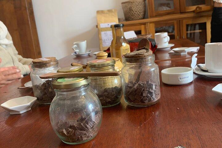Private customizable tour at Mindo cloud forest
