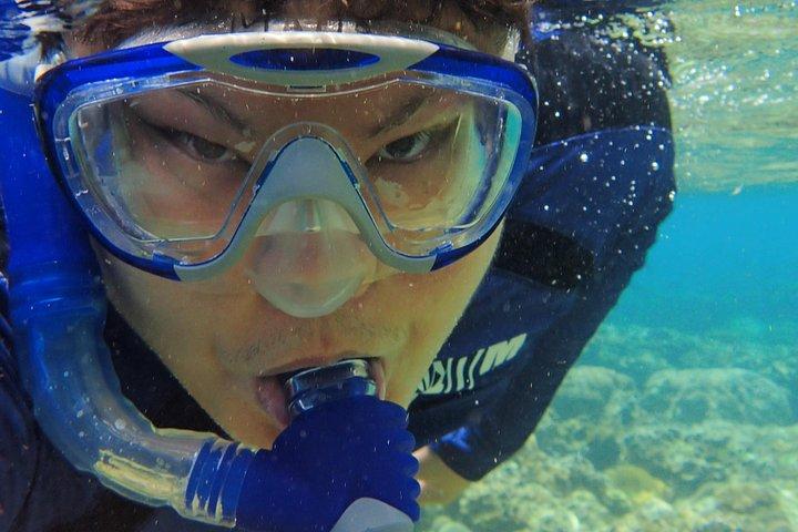 アニラオ シュノーケル サファリ : 素晴らしい水中世界を探検