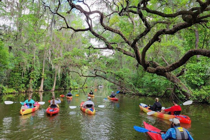 Noleggio panoramico di kayak o paddleboard di mezza giornata – Canale di Dora