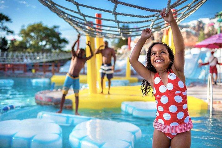 ウォルトディズニーワールドオーランドウォーターパークチケット