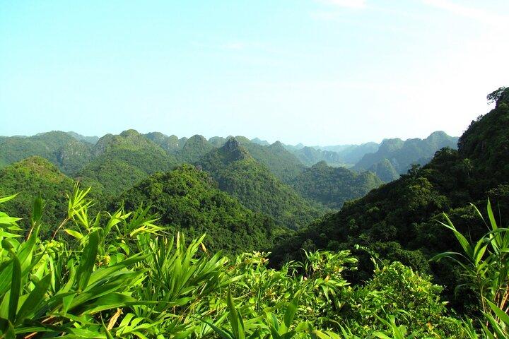 Halvdagsvandring Cat Ba Butterfly Valley (mere intens)