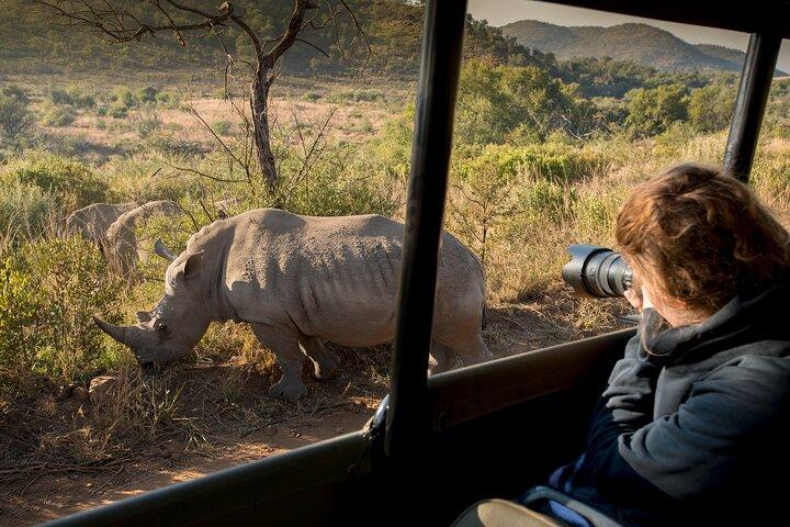 Ganztägige ultimative Pilanesberg Nationalpark Safari von Johannesburg oder Pretoria