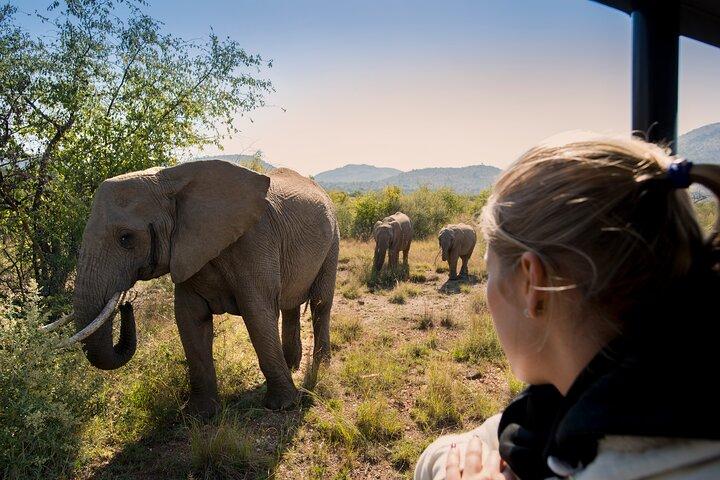 2 Day Pilanesberg Camping Safari