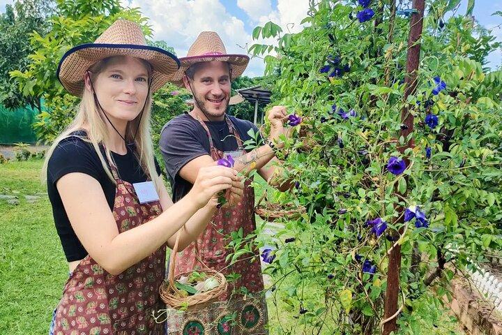 Kochkurs am Vormittag Chiang Mai Besuchen Sie den Bio-Garten und -Markt