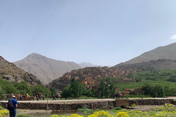Atlas Mountain Dagstur från Marrakech
