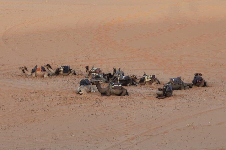 Viaggio di 2 giorni nel deserto del Sahara da Fez a Marrakech