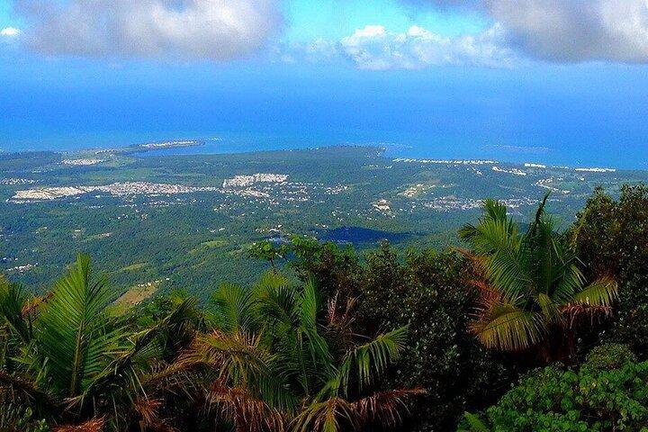 Excursão guiada pela floresta tropical de El Yunque