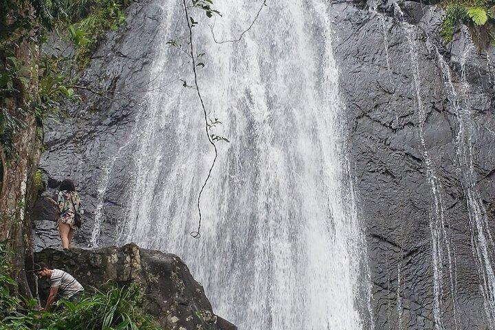 Excursão guiada pela floresta tropical de El Yunque