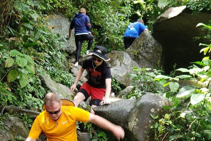 Excursão guiada pela floresta tropical de El Yunque