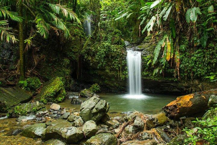 El Yunque Rainforest Guided Tour