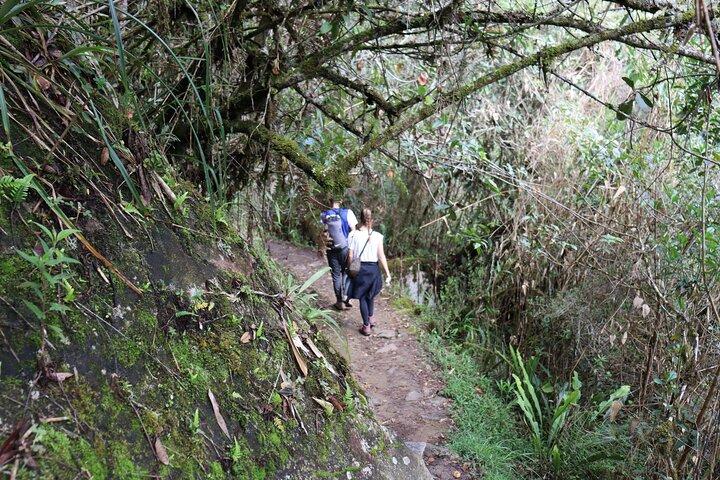 4 dagars Inca Jungle Trek till Machu Picchu
