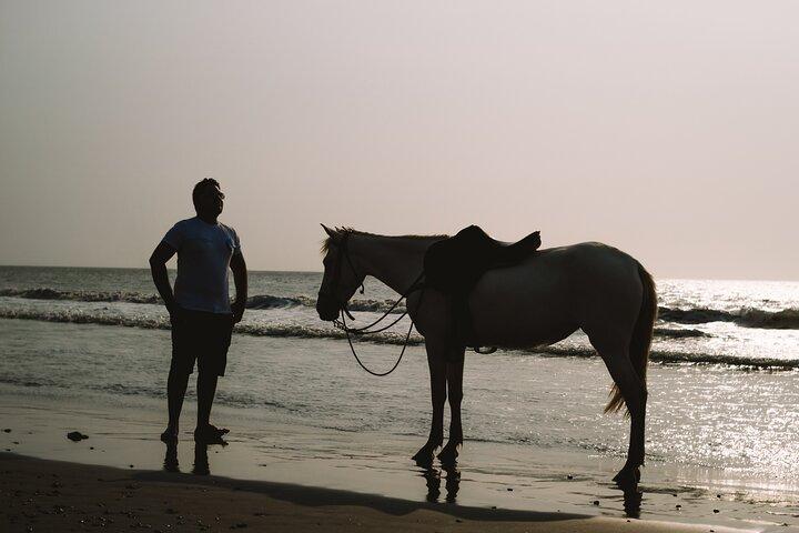 Horseback Riding Tour through the Beaches of Cartagena de Indias
