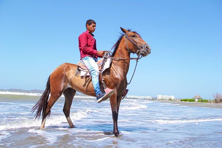 Horseback Riding Tour through the Beaches of Cartagena de Indias
