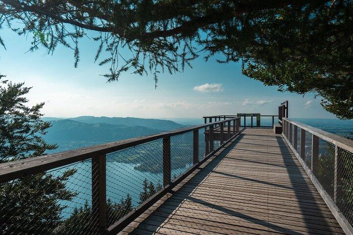 没入型プライベートツアー : Hallstatt After the Crowds & Treetop Path
