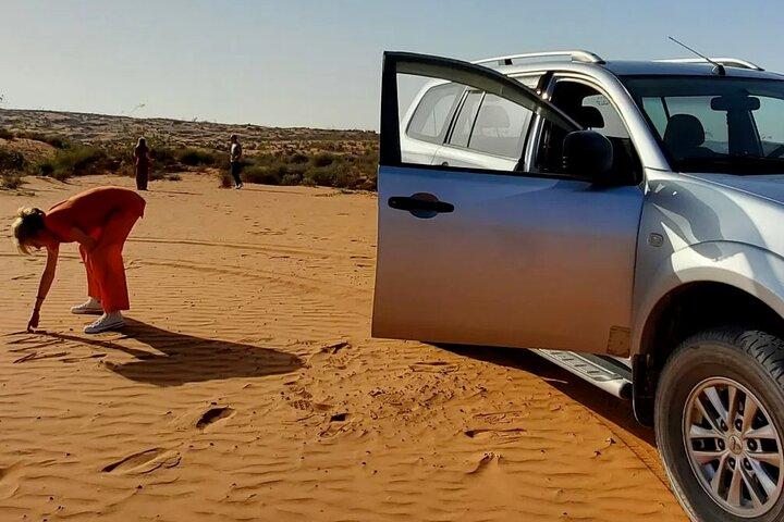 Gita di un giorno al Sahara da Agadir