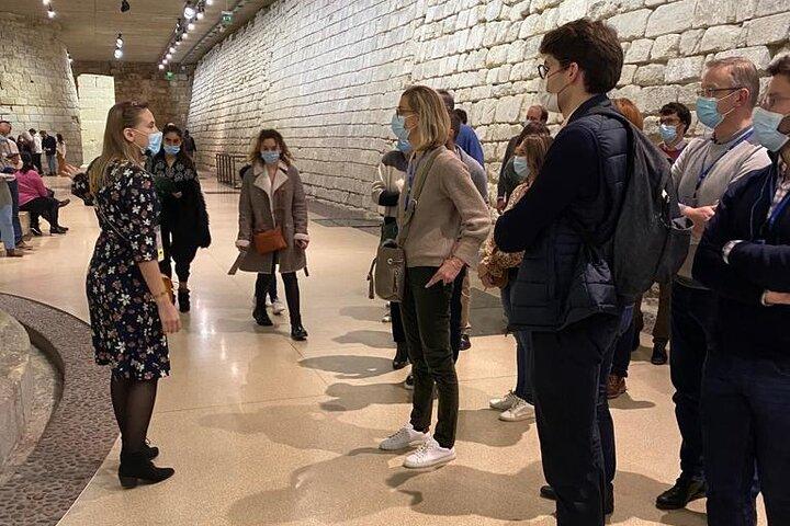 Obras maestras del Louvre en 2 horas