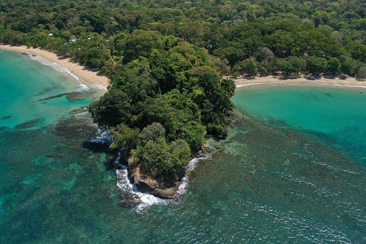 Full Day Cahuita Snorkel And Sloth Sanctuary from Puerto Viejo de Limón